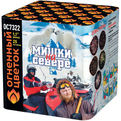 Фото Мишки на севере